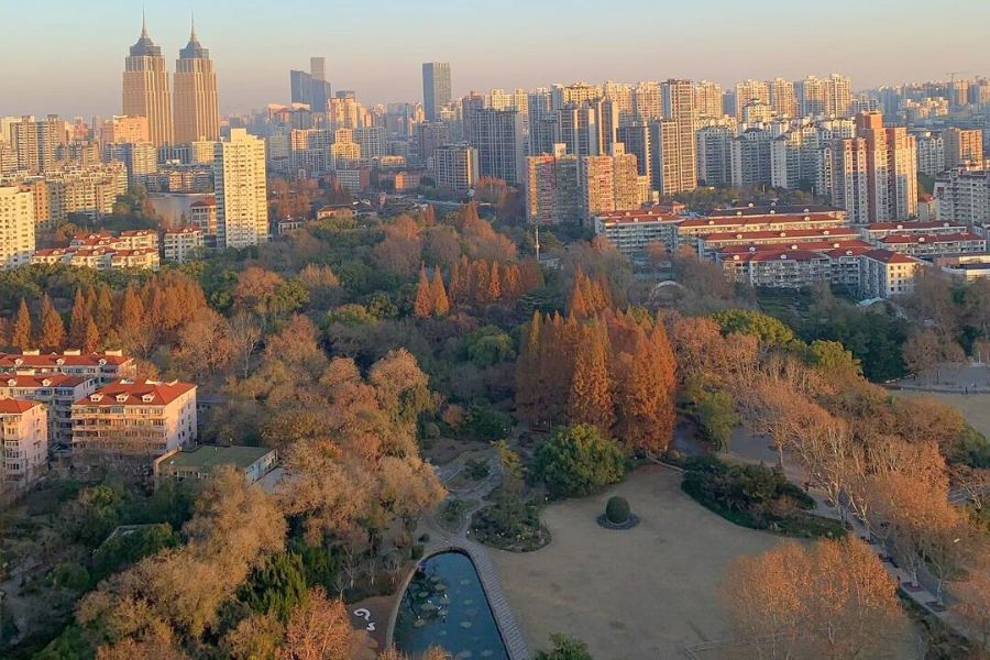 shanghai-autumn
