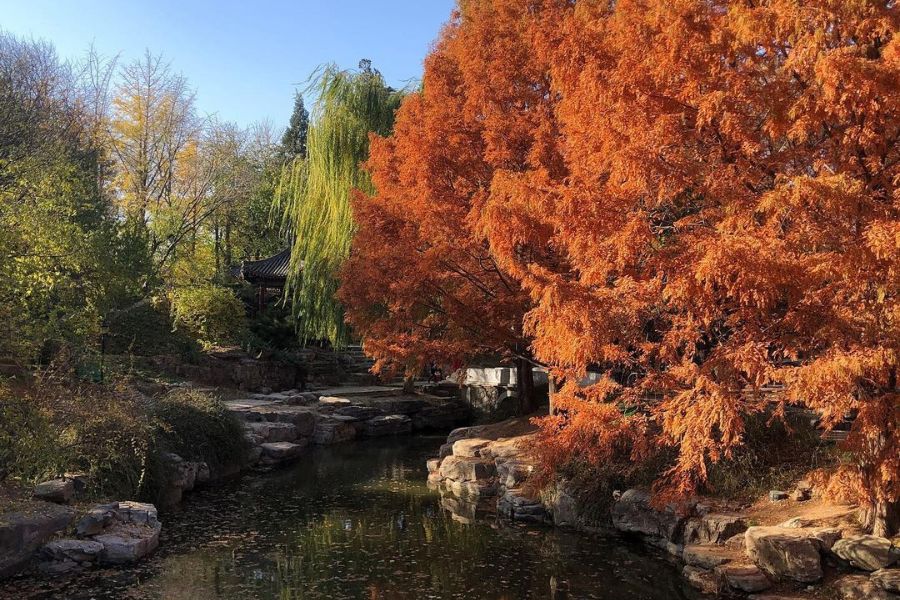 beijing-autumn