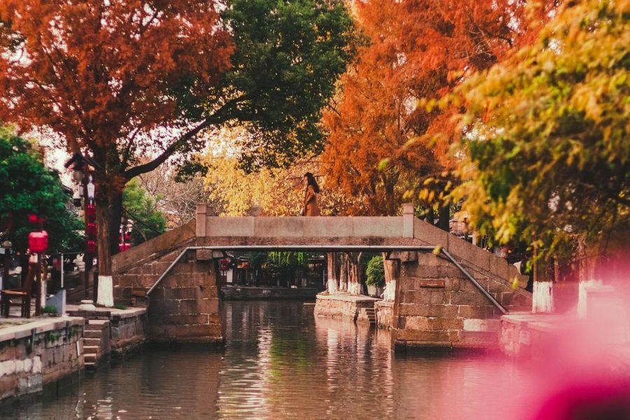 shanghai-autumn