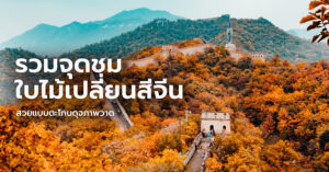china-autumn