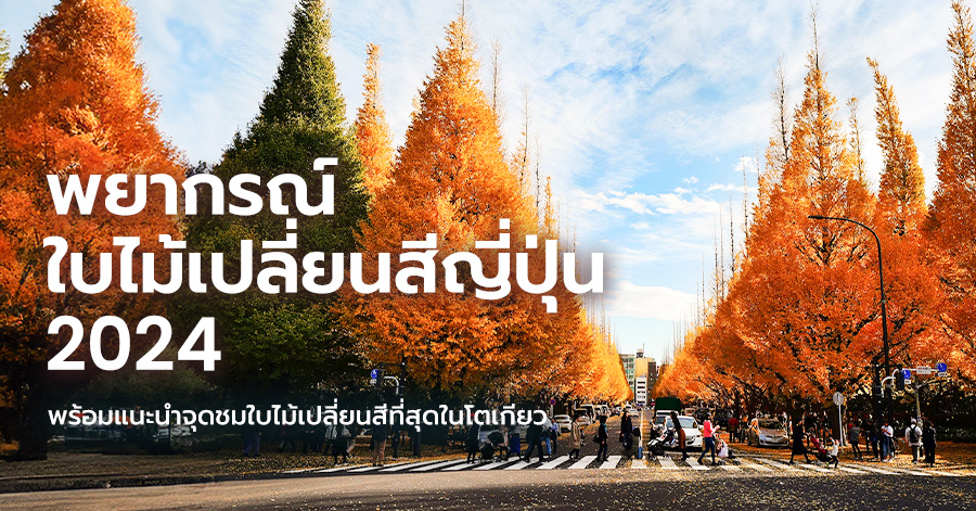japan-autumn-guide
