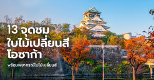 osaka-autumn