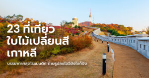 south-korea-autumn