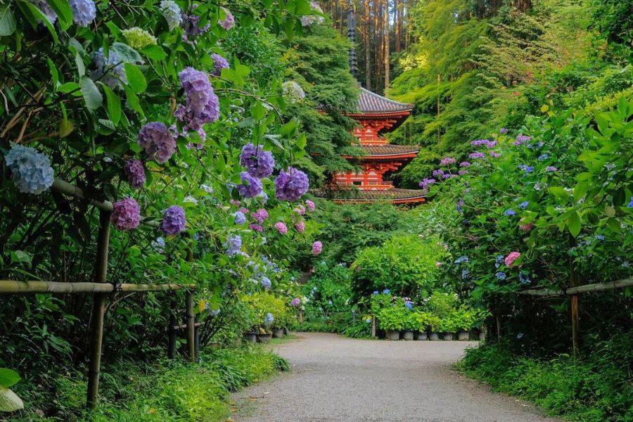 kyoto-temples