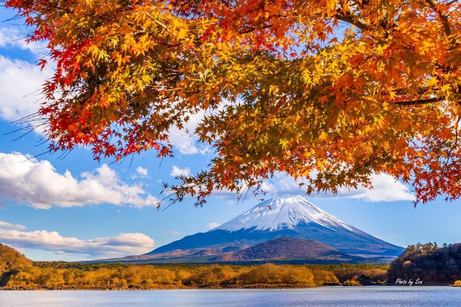 autumn-kawaguchiko