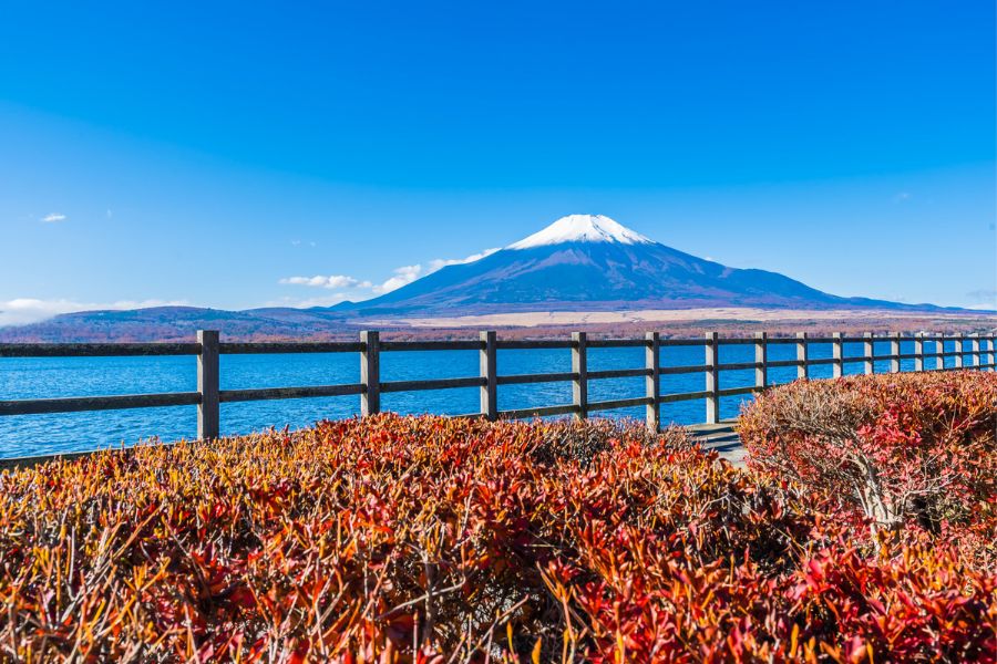autumn-kawaguchiko