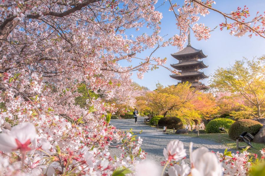 kyoto-temples