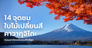 kawaguchiko-autumn