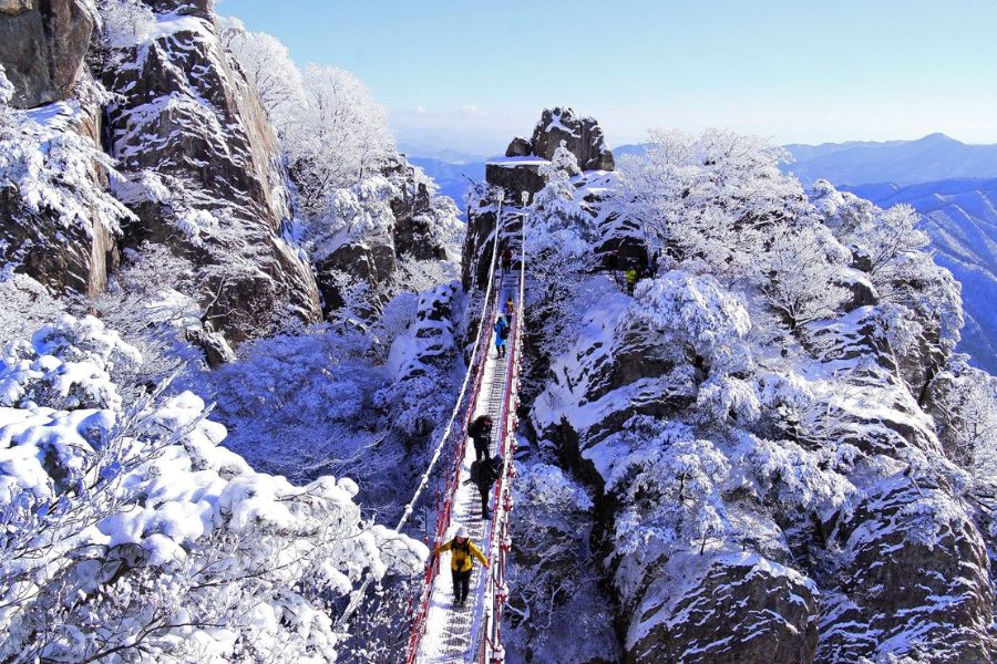 travel-winter