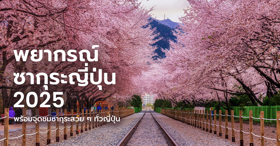 japan-sakura-guide