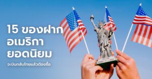 usa-souvenir