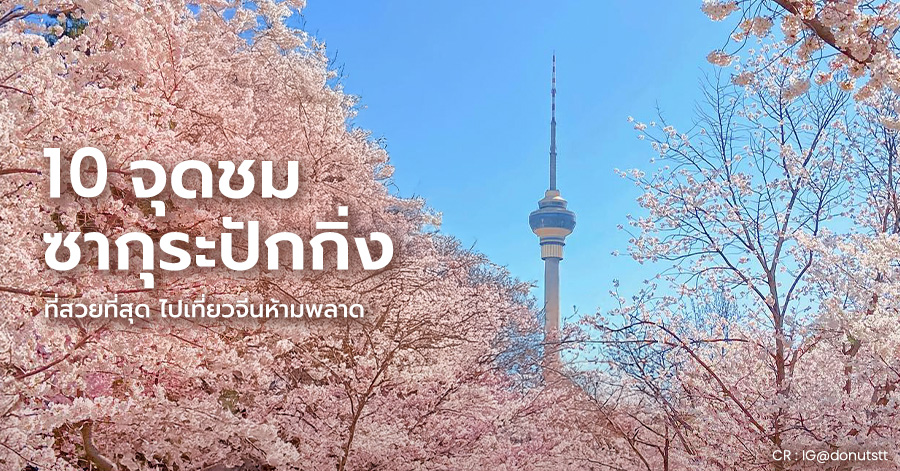 beijing-sakura