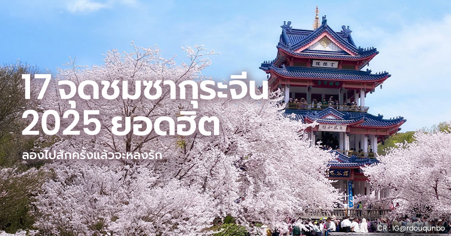 china-sakura