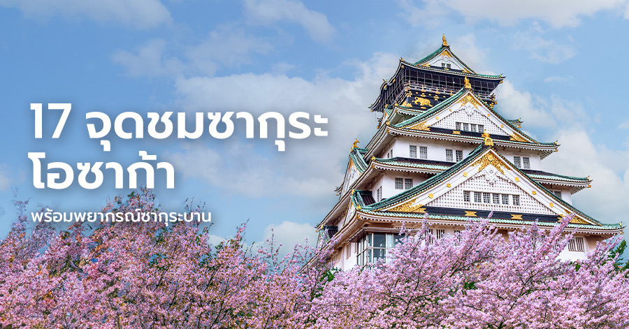 osaka-sakura