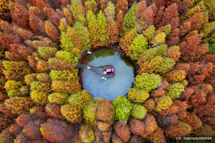 taiwan-autumn