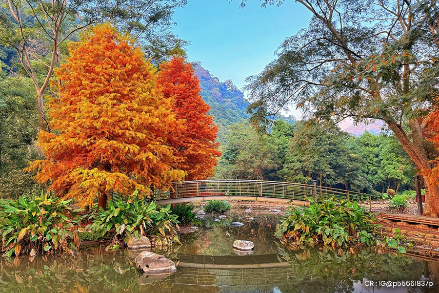 taiwan-autumn