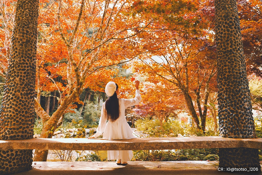 taiwan-autumn