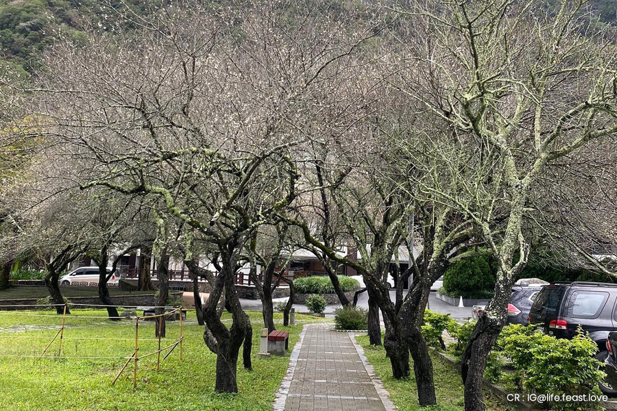 taiwan-autumn