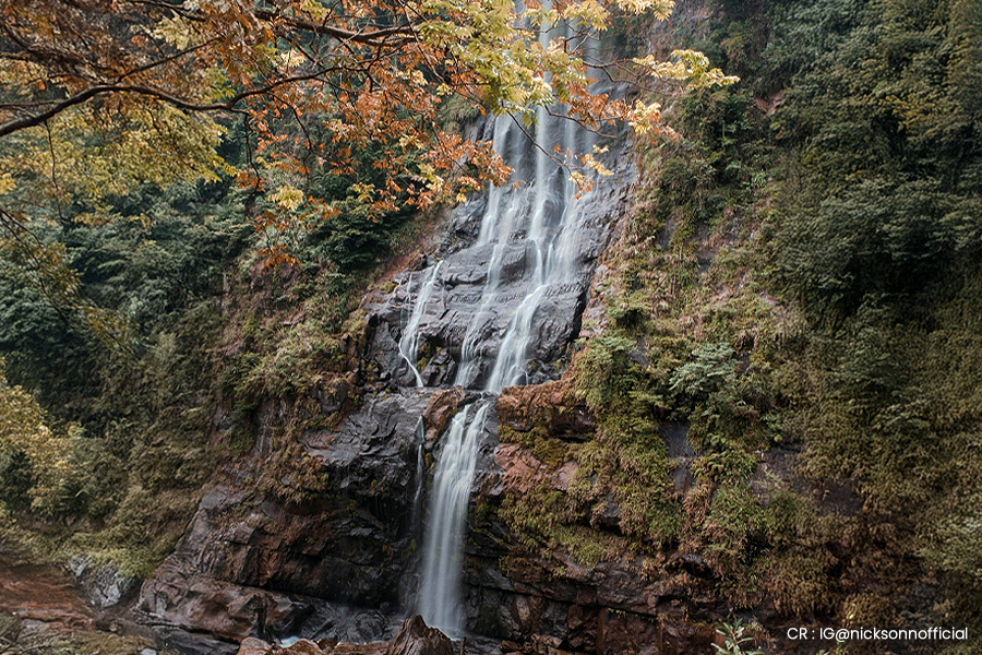 taiwan-autumn