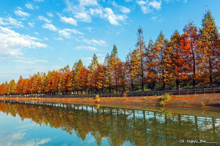 taiwan-autumn