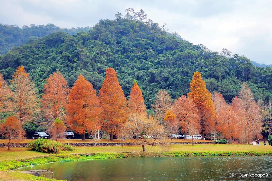 taiwan-autumn